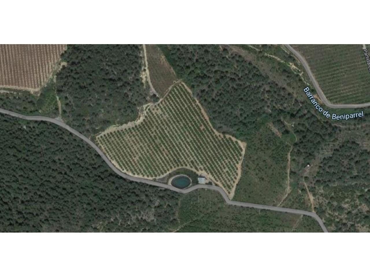 Finca rústica en Onda con naranjos en producción y riego - 3