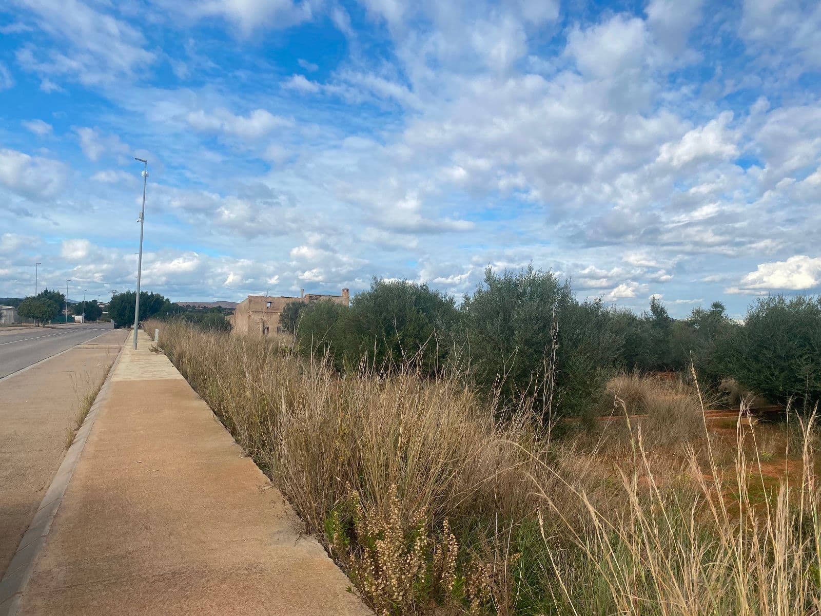 Parcela industrial de 15.360 m² junto al centro logístico Amazon en Onda - 3