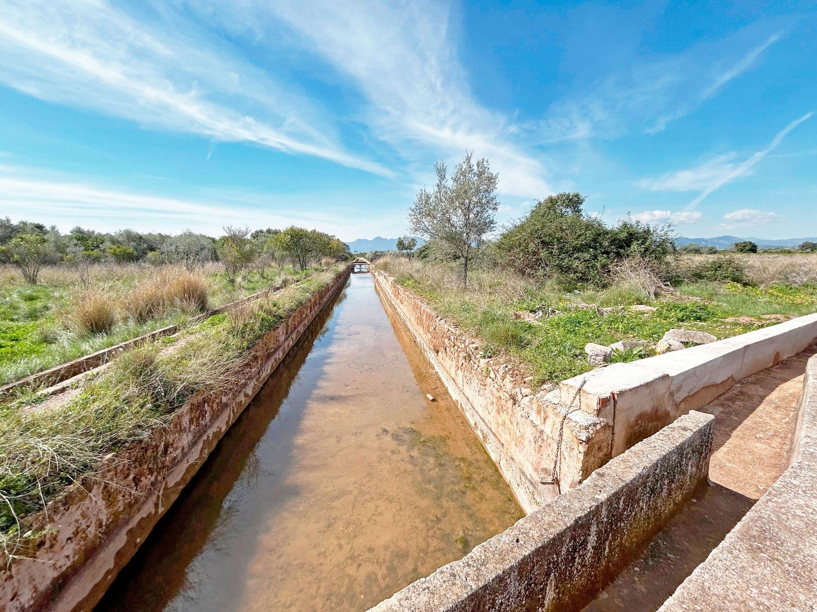 Terreno amplio con caseta en el camino del Assagador de Vila-real - 4