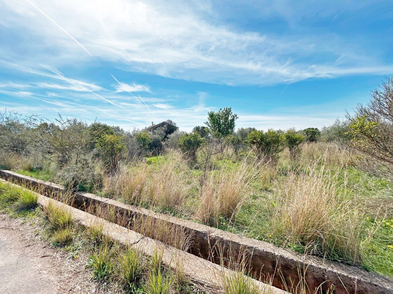 Terreno amplio con caseta en el camino del Assagador de Vila-real - 5