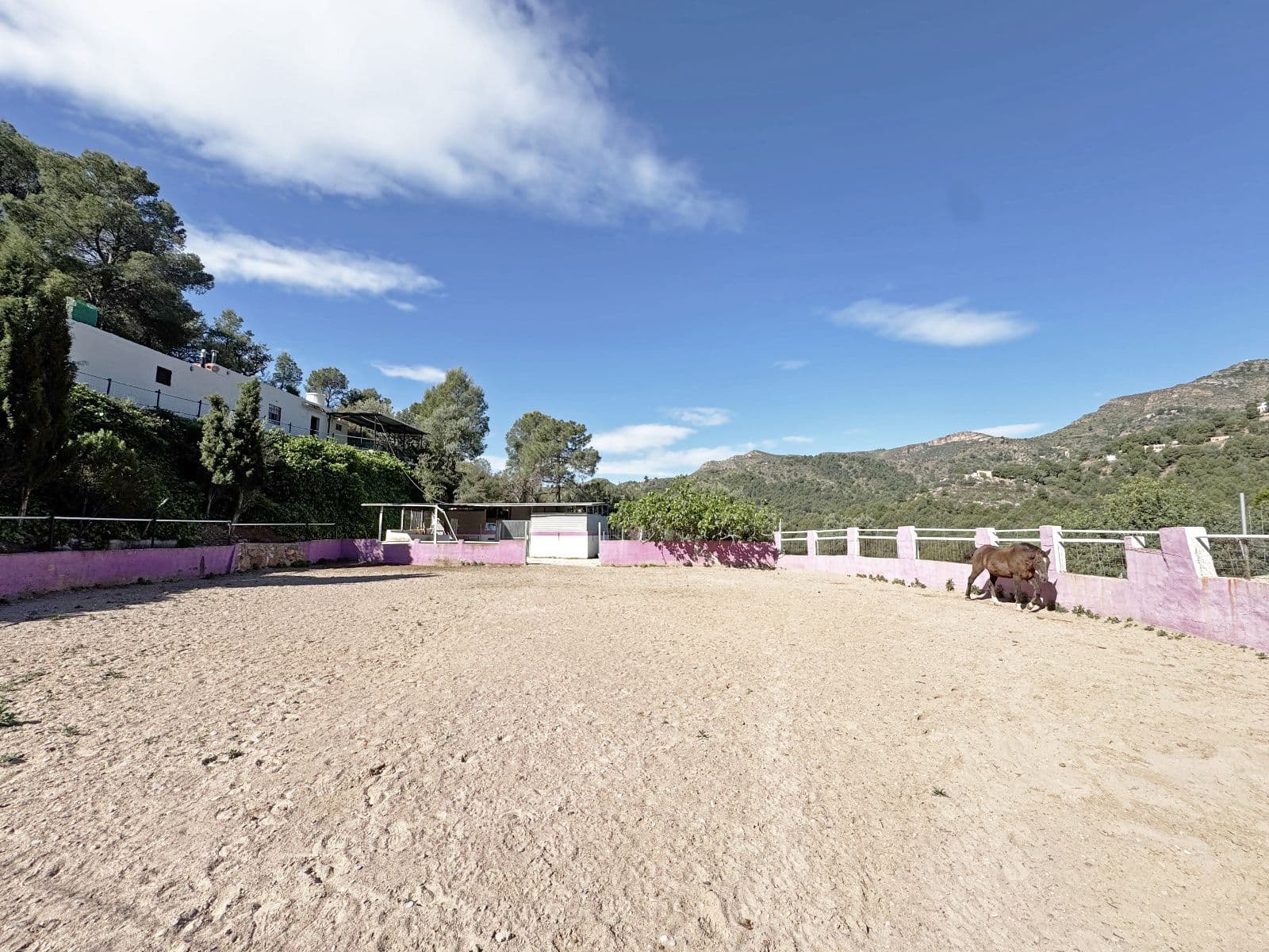 Finca rústica con cuadra y vivienda en Vall d’Uixó - 5